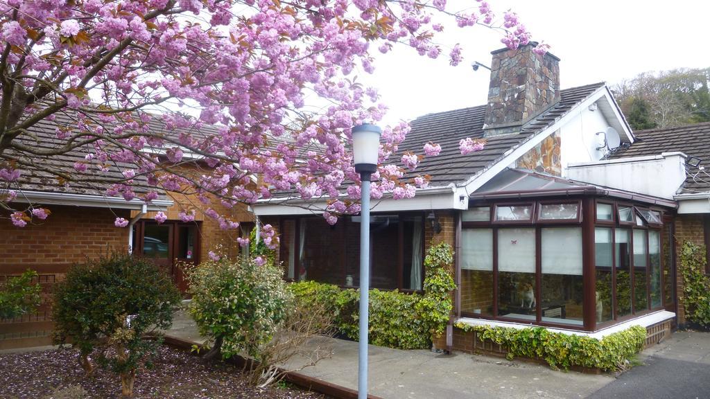 Woodville B&B Bray Eksteriør bilde
